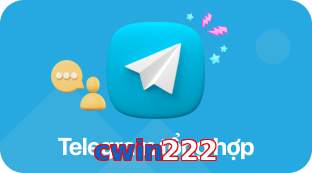 cwin222