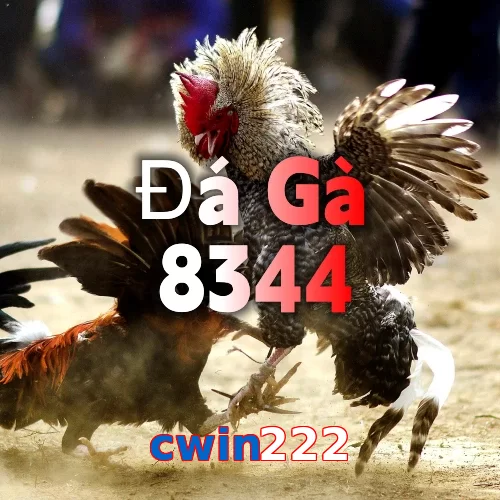 cwin222