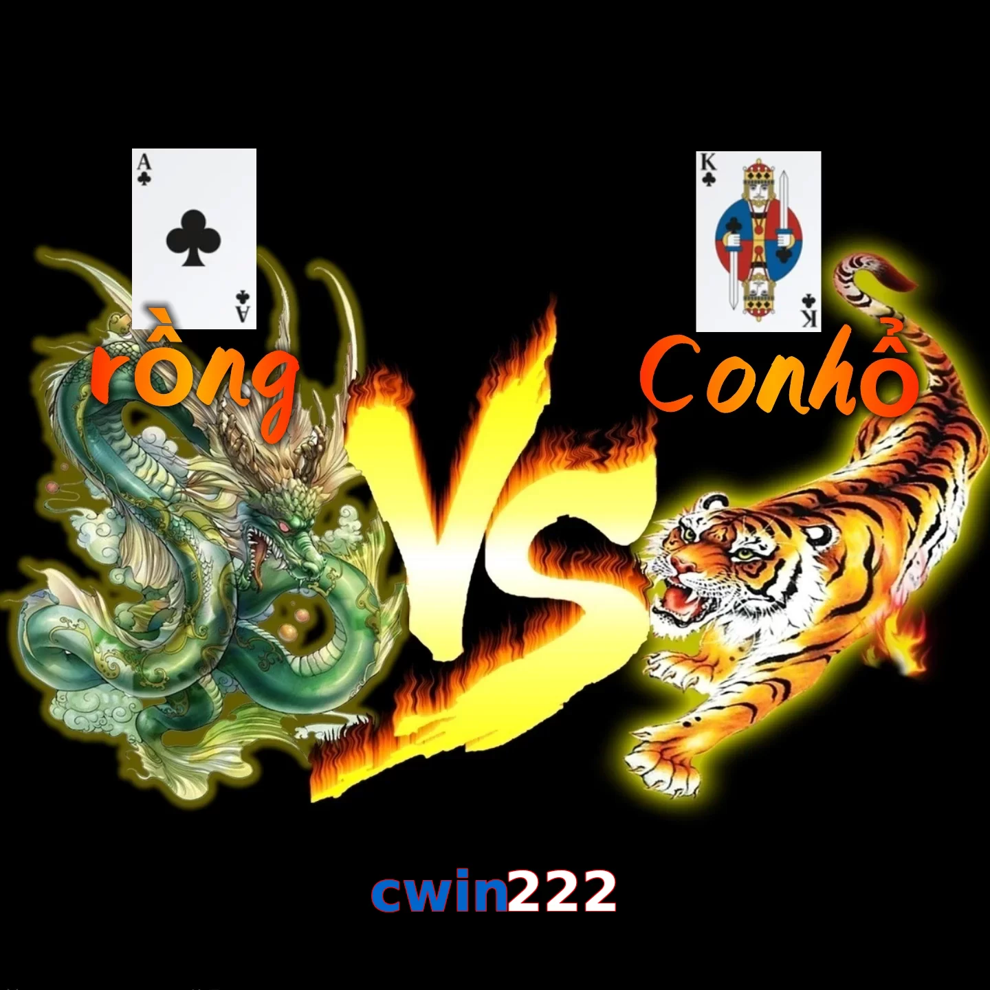 cwin222